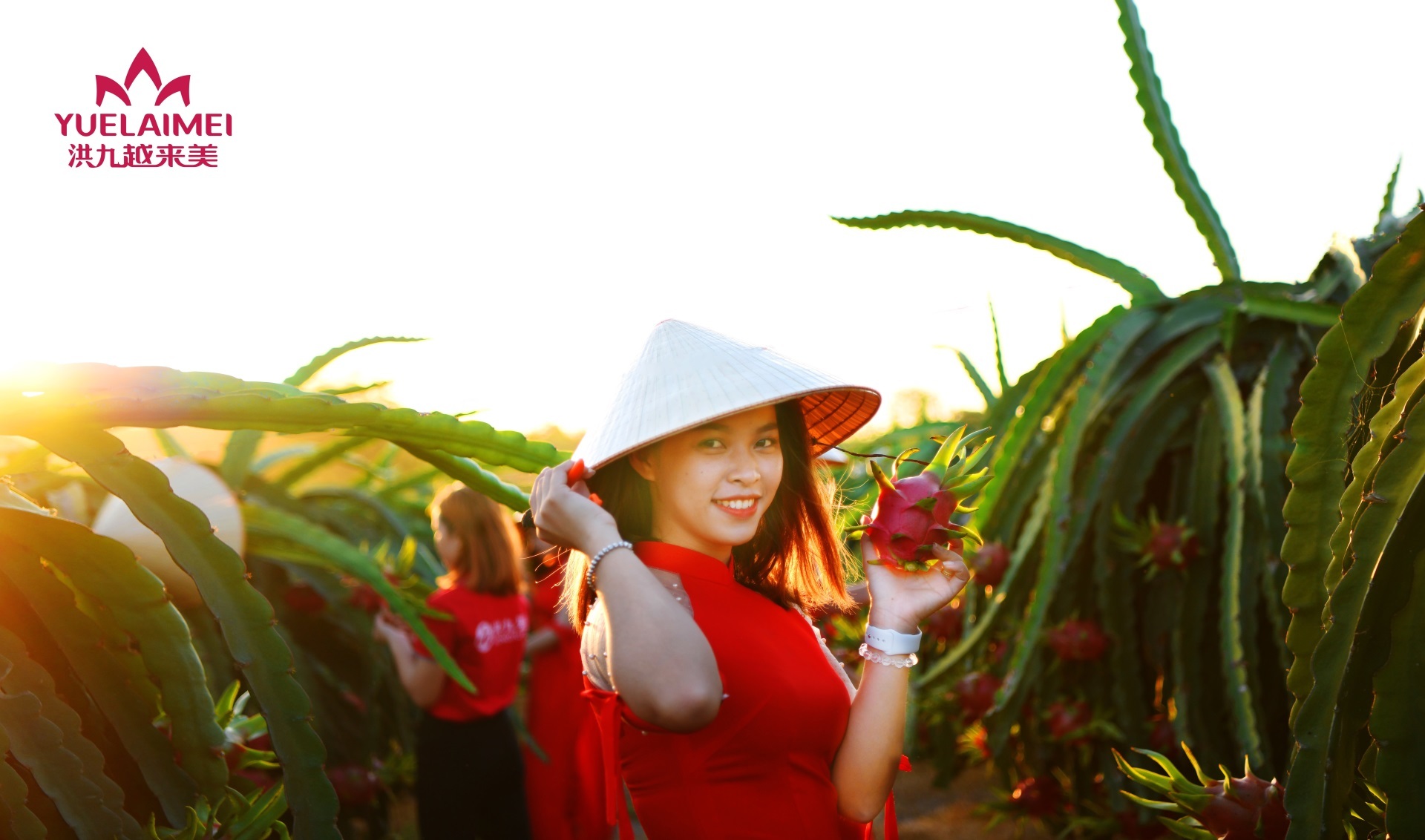 全球水果链 共享幸福果