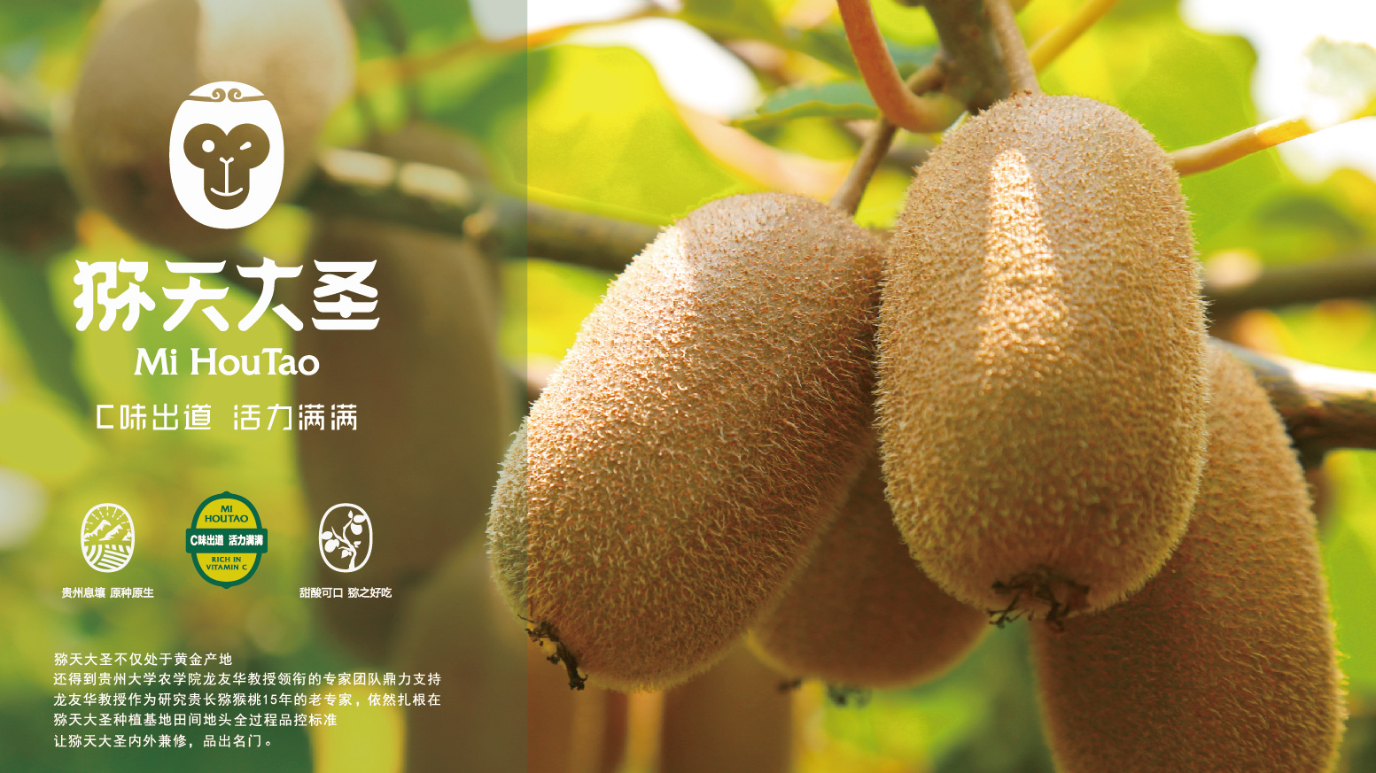 嗨，猕天大圣又见面啦！