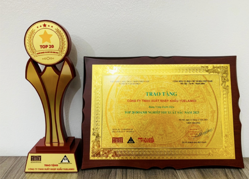 越南子公司荣膺“2023年优秀外商直接投资企业20强”