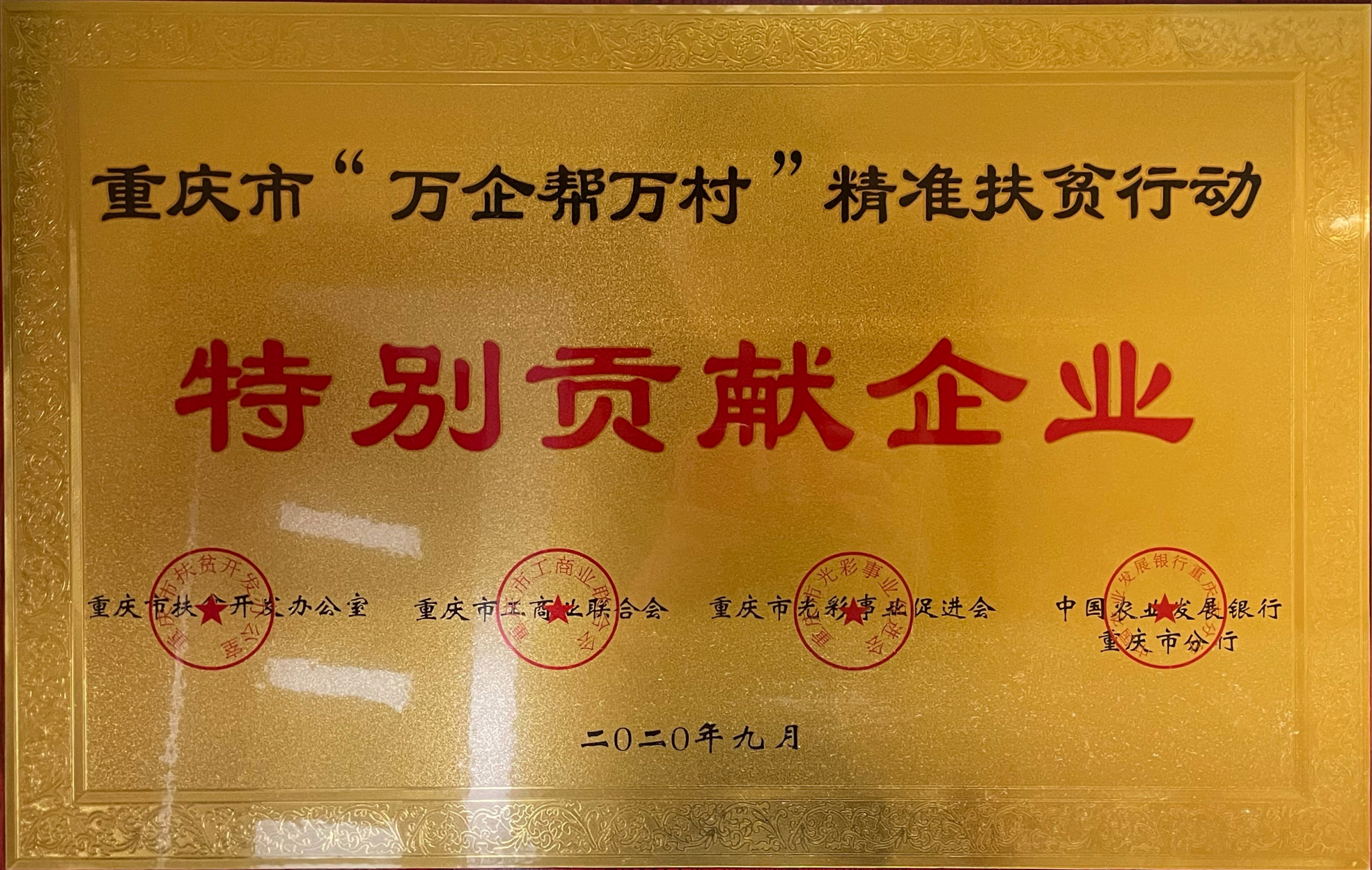 重庆市“万企帮万村”精准扶贫行动特别贡献企业